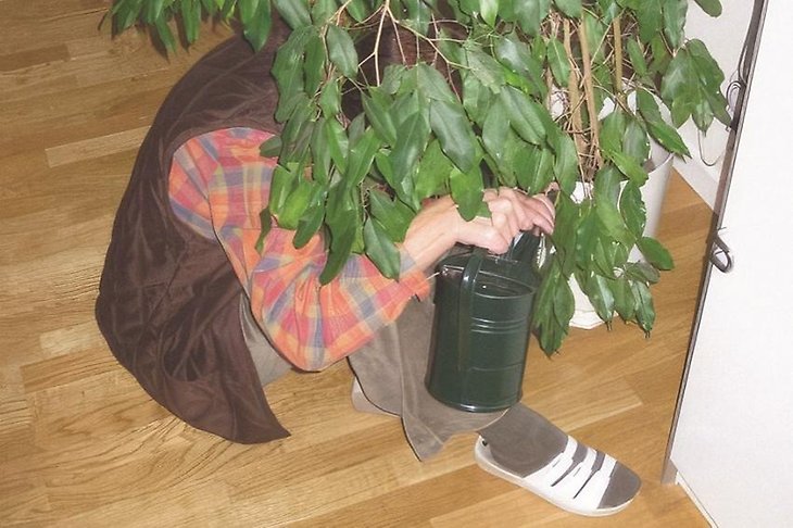 En man gömmer sig på golvet bakom en krukväxt. Foto.