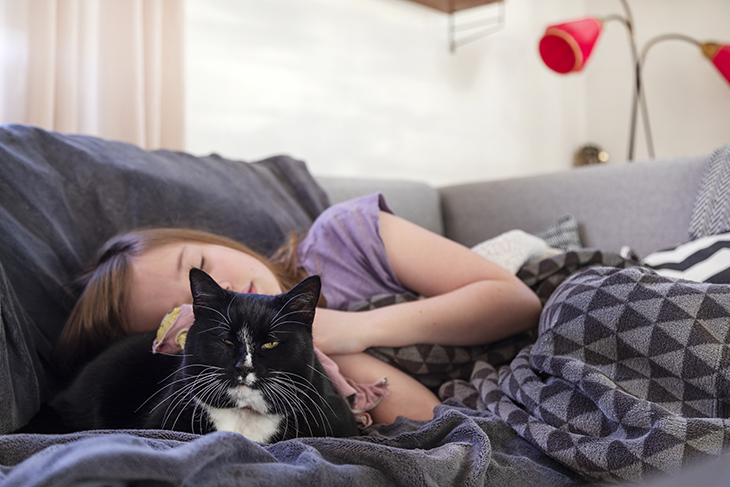 En flicka i lila tröja sover i en grå soffa. En svartvit katt ligger bredvid.