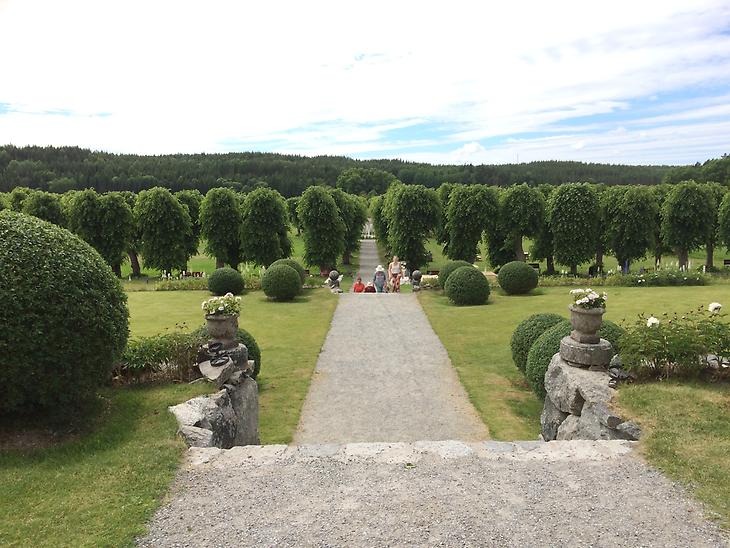 Bild på Venngarns slottsträdgård