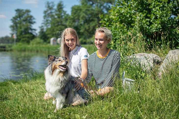 Två flickor och en hund i Rosersbergsviken. Fotograf: Rosie Alm (sam16, sam17)