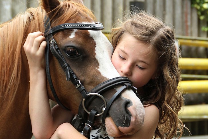 Ett barn gosar med en häst.