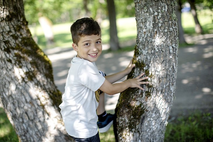 Pojke klättrar i träd. Fotograf: Rosie Alm (sam21)