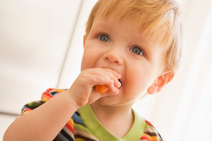 Pojke i förskolan äter på en morot