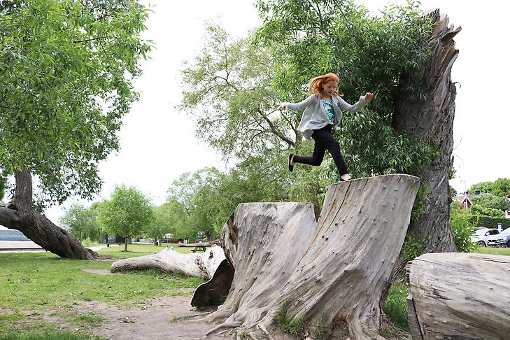 En flicka hoppar mellan träden på strandpromenaden i Sigtuna. Fotograf: Sigtuna kommun (sam27)