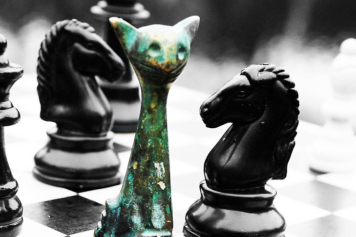 Schackbräde med svartvita schackpjäser och en udda pjäs i grön färg och annat utseende.