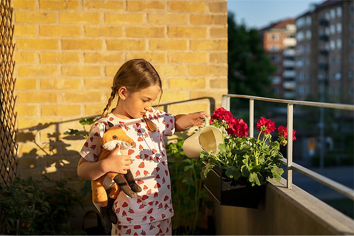 En flicka i pyjamas häller vatten på balkonglådornas pelargoner från en emaljkanna. Foto: Johan Bävman / Svenskt Vatten