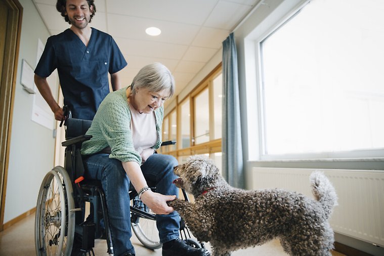 Kvinna i rullstol böjer sig ner och hälsar på en hund.