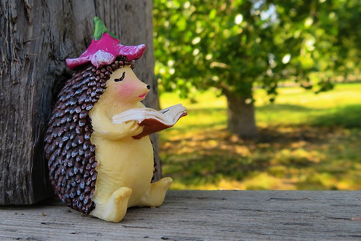En figur i form av en igelkott som läser en bok sittandes ute på en bänk.