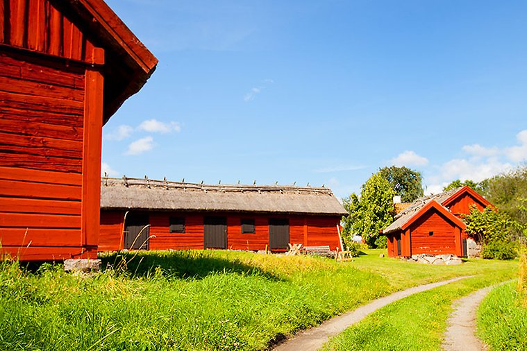 Gård med röda hus. Foto: Björn Leijon