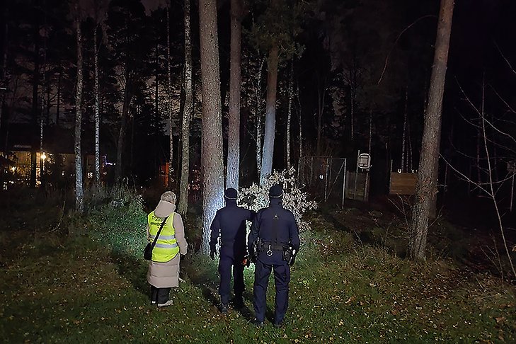Tre personer står i en mörk skogsdunge och lyser med en ficklampa.