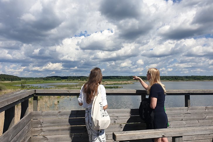Två personer står i ett fågelskådningstorn och tittat över en våtmark